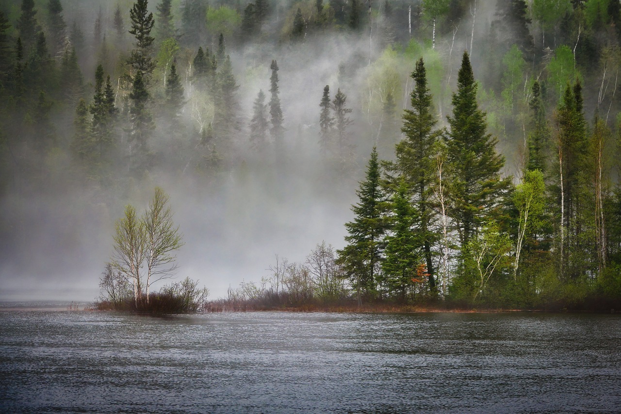 How Biodiversity Supports a Healthy Ecosystem